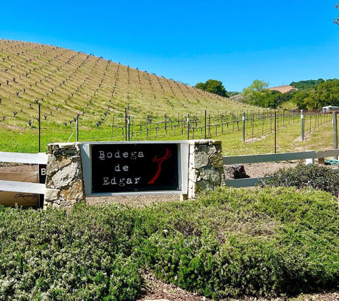 Por los viñedos de Paso Robles