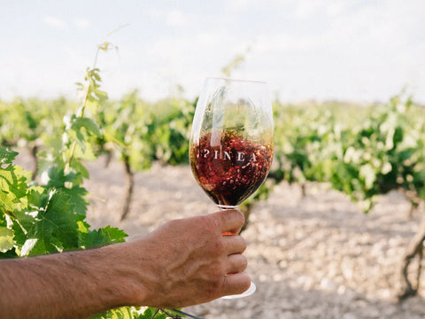 Admiración por la uva tempranillo